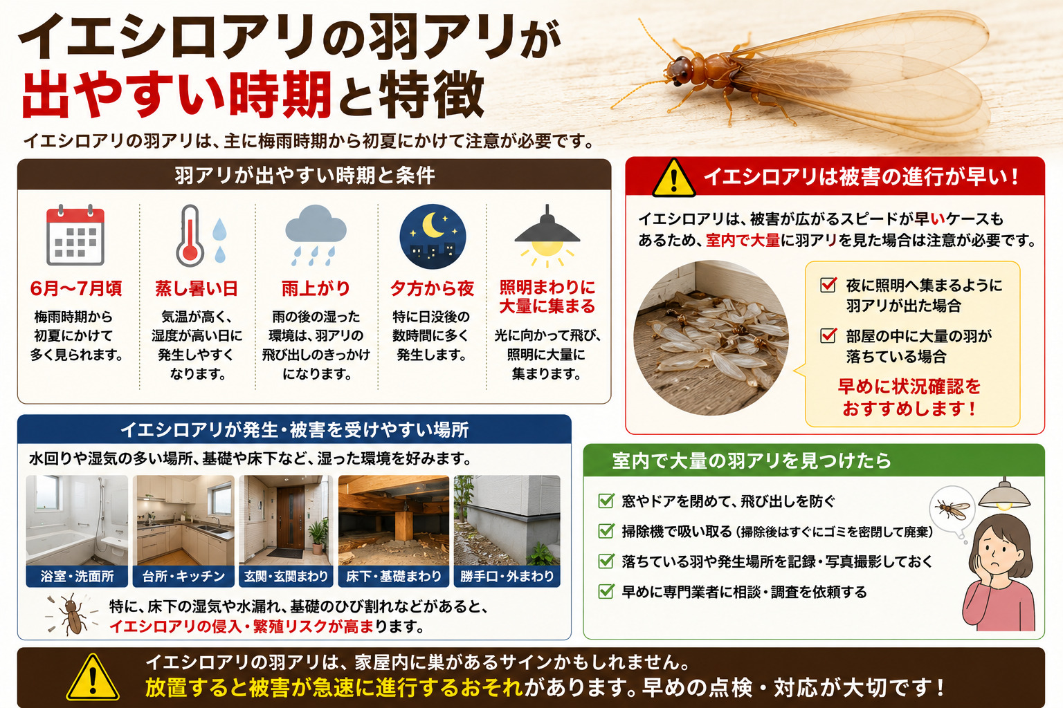 イエシロアリの羽アリが出やすい6月から7月の時期や、蒸し暑い日・雨上がり・夜の照明周辺への大量発生などの特徴と、室内で大量発生した際の注意点を解説した画像