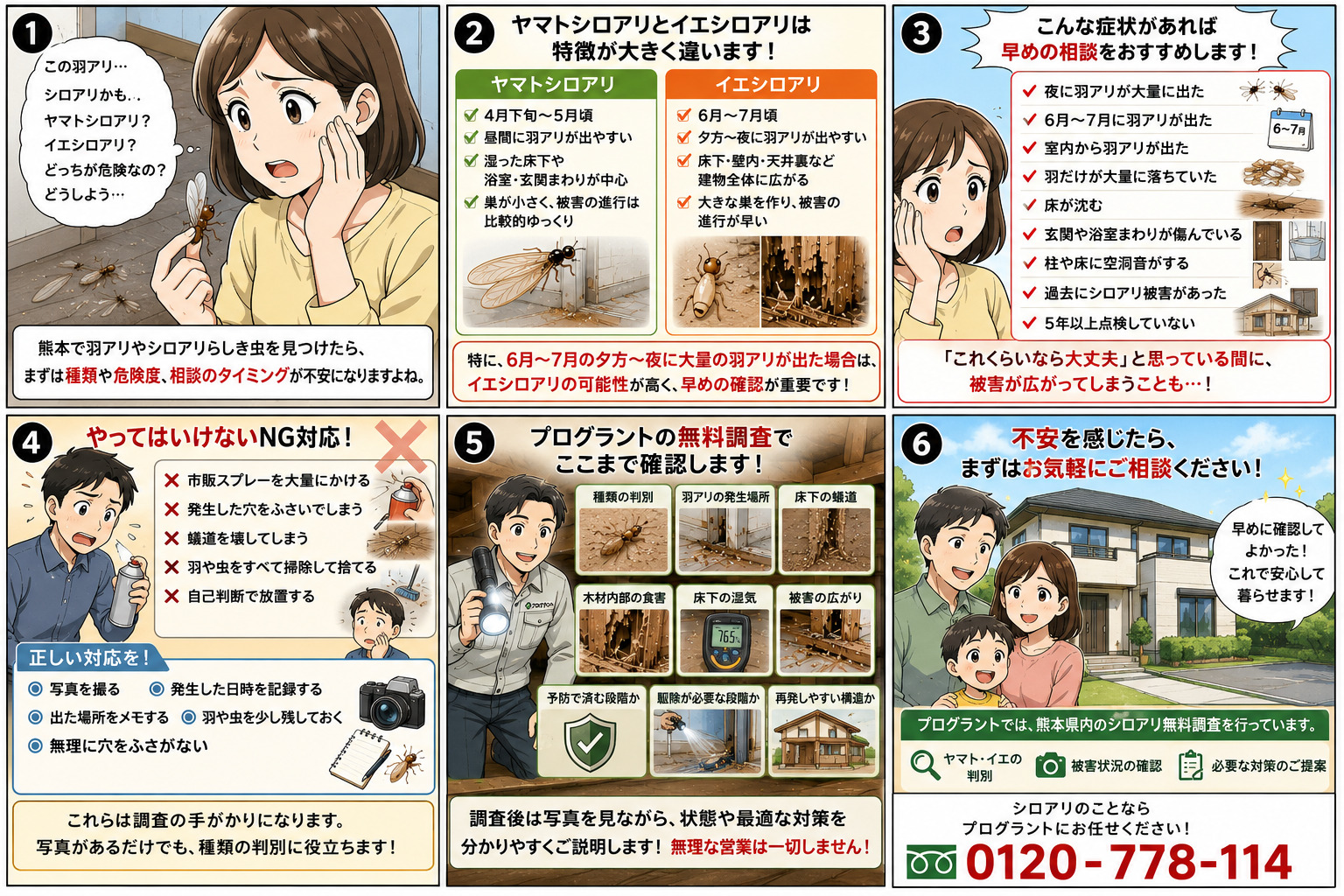 熊本で羽アリやシロアリらしき虫を見つけた方へ向けた6コマ漫画。1コマ目で室内の羽アリを見つけた女性がヤマトシロアリかイエシロアリか不安になる様子、2コマ目でヤマトシロアリとイエシロアリの発生時期や危険度の違いを比較、3コマ目で夜の大量発生や落ちた羽、床の沈みなど早めに相談すべき症状を紹介、4コマ目で市販スプレーや穴ふさぎなどのNG対応と正しい記録方法を解説、5コマ目でプログラントの無料調査内容を説明、6コマ目で熊本県内のシロアリ無料調査と電話相談につなげる問い合わせ漫画