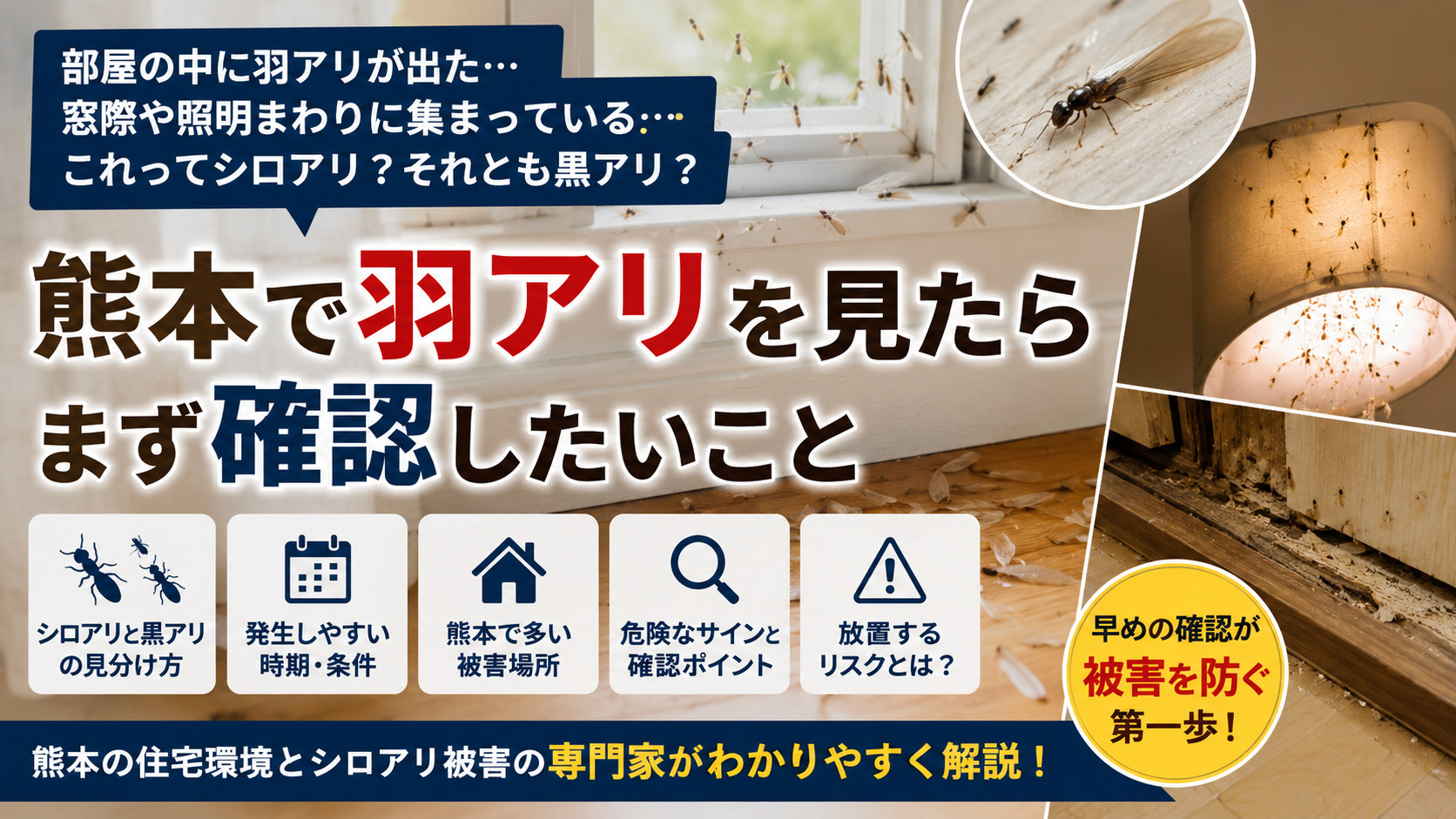 熊本で羽アリを見つけた際に、シロアリと黒アリの見分け方や危険なサイン、早めの確認の重要性を解説するブログサムネイル画像
