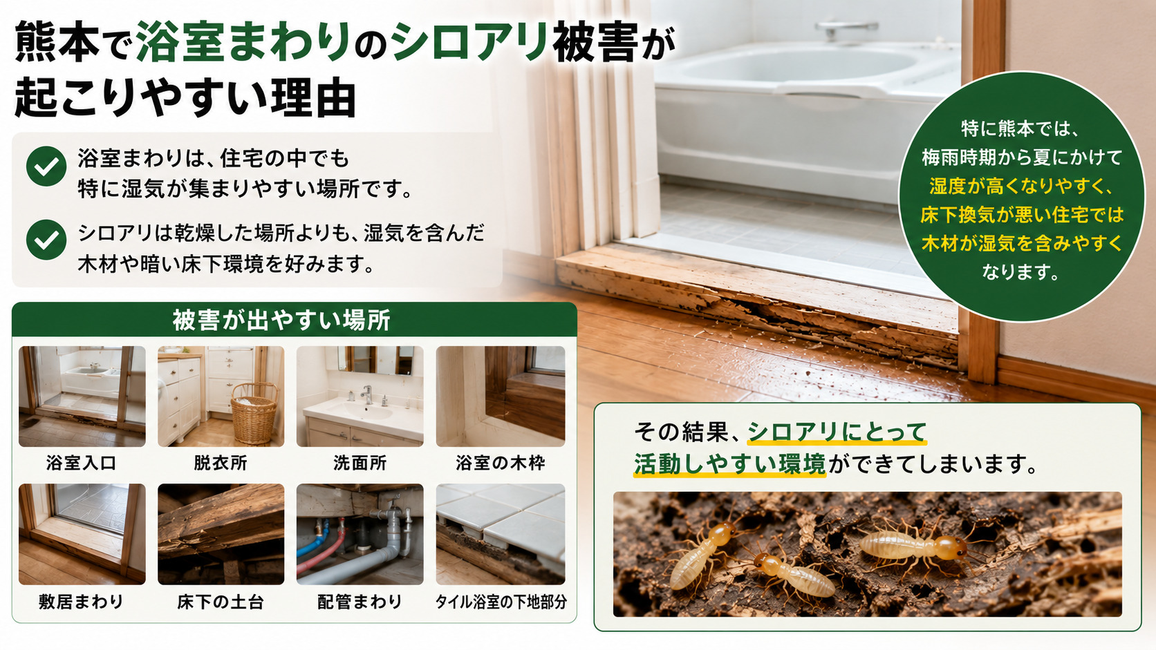 熊本で浴室まわりのシロアリ被害が起こりやすい理由を解説した16:9インフォグラフィック。湿気がこもりやすい浴室入口、脱衣所、洗面所、床下、配管まわり、タイル浴室下地などを写真付きで紹介し、梅雨時期の高湿度や床下換気不足によってシロアリが活動しやすくなる熊本の住宅環境を分かりやすく説明