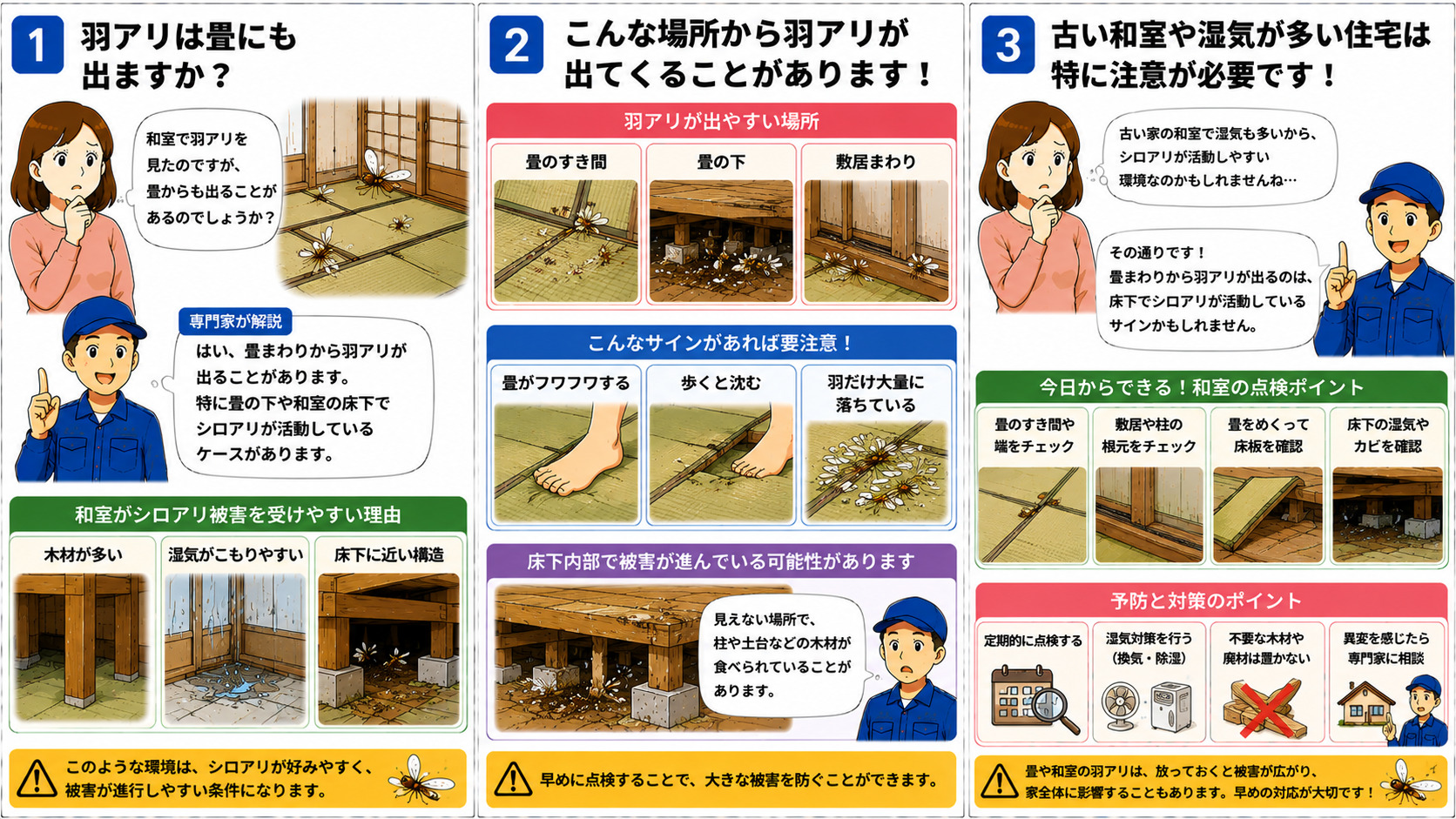 畳まわりで羽アリが発生する原因を解説する16対9の3コマ漫画。畳のすき間・畳の下・敷居まわりなどから羽アリが出るケースや、和室が木材が多く湿気がこもりやすい構造であること、畳がフワフワする・歩くと沈む・羽だけ大量に落ちるなど床下内部のシロアリ被害サイン、古い和室や湿気の多い住宅で注意すべき点をイラスト付きで分かりやすく説明している。