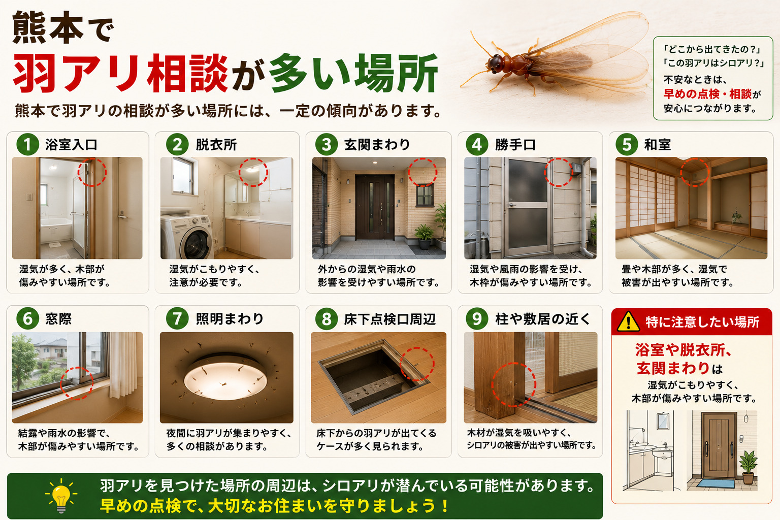 熊本で羽アリが出やすい築20年以上の木造住宅、床下湿気、浴室・脱衣所、玄関、庭木、河川や田畑に近い住環境などを解説した画像