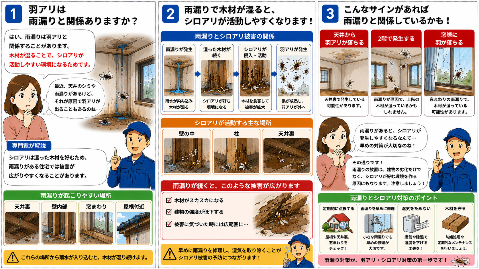 羽アリと雨漏りの関係を解説する16対9の3コマ漫画。天井裏・壁内部・窓まわり・屋根付近から雨水が入り込み木材が湿ることで、壁の中・柱・天井裏でシロアリが活動しやすくなる仕組みや、天井から羽アリが落ちる・2階で発生する・窓際に羽が落ちるなど雨漏りと関連する危険サインを、イラスト付きで分かりやすく説明している。