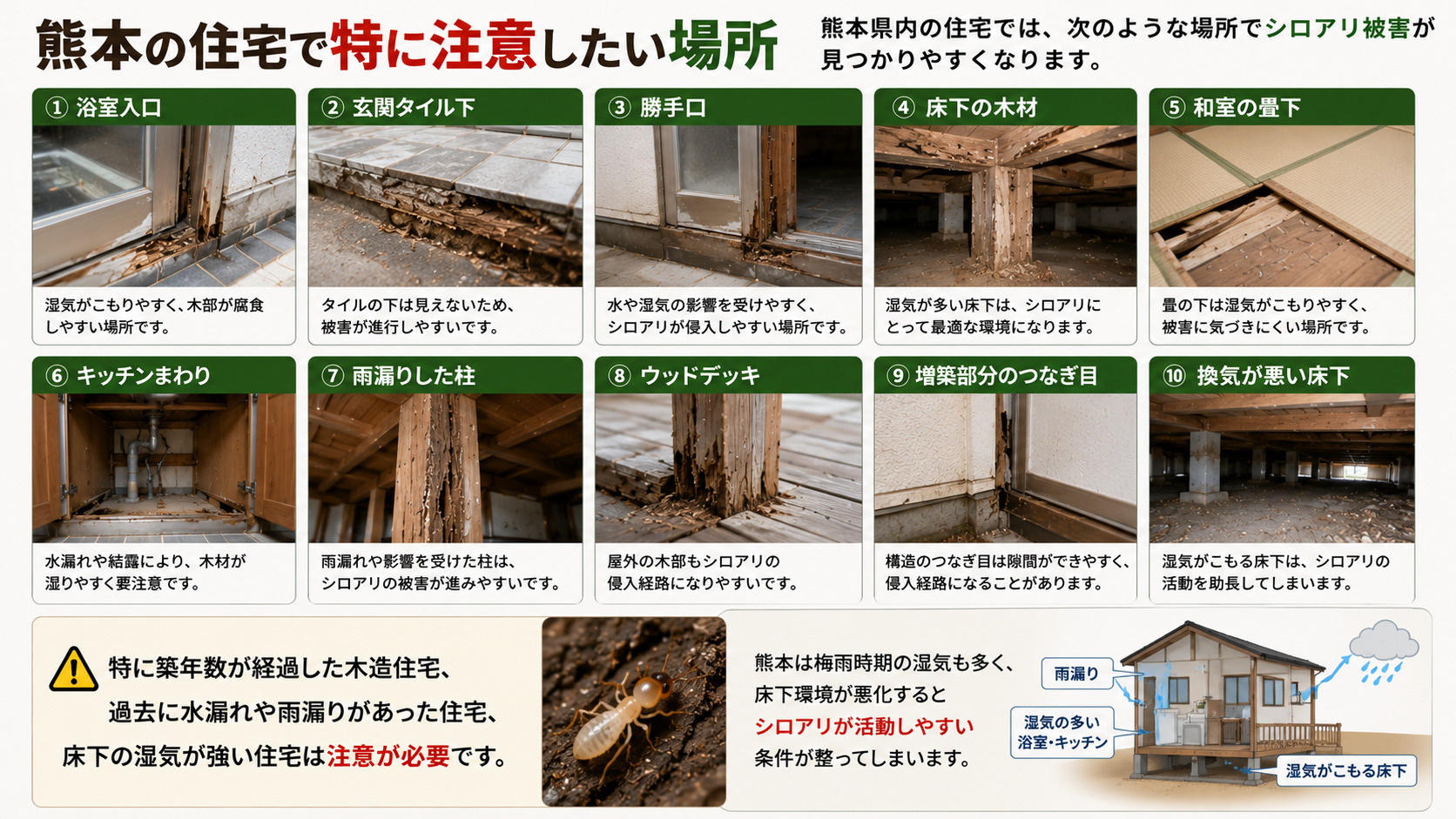 熊本の住宅でシロアリ被害に特に注意したい場所を解説した16対9の画像。浴室入口、玄関タイル下、勝手口、床下の木材、和室の畳下、キッチンまわり、雨漏りした柱、ウッドデッキ、増築部分のつなぎ目、換気が悪い床下など、シロアリ被害が見つかりやすい場所を写真で紹介。築年数が経過した木造住宅、水漏れや雨漏りがあった住宅、床下の湿気が強い住宅は注意が必要であることを伝えるシロアリ注意喚起