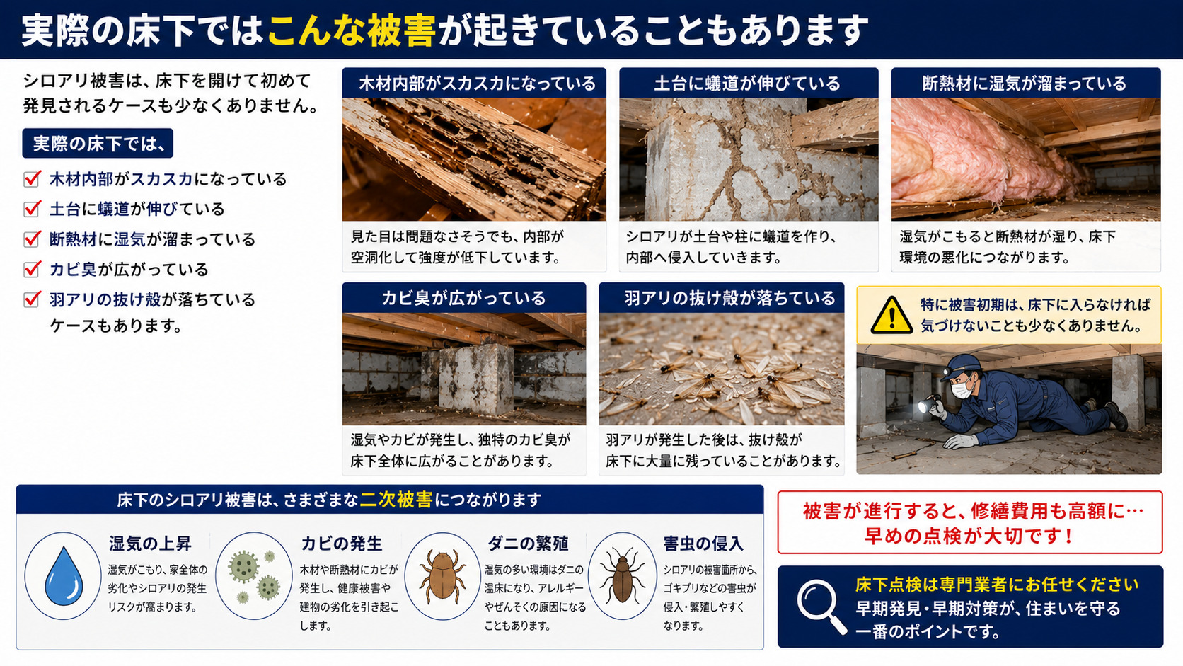 熊本の住宅床下で発生したシロアリ被害の実例を解説した16対9インフォグラフィック。木材内部の空洞化・蟻道・湿気を含んだ断熱材・カビ・羽アリの抜け殻など、床下で進行するシロアリ被害や二次被害を写真付きで説明した画像