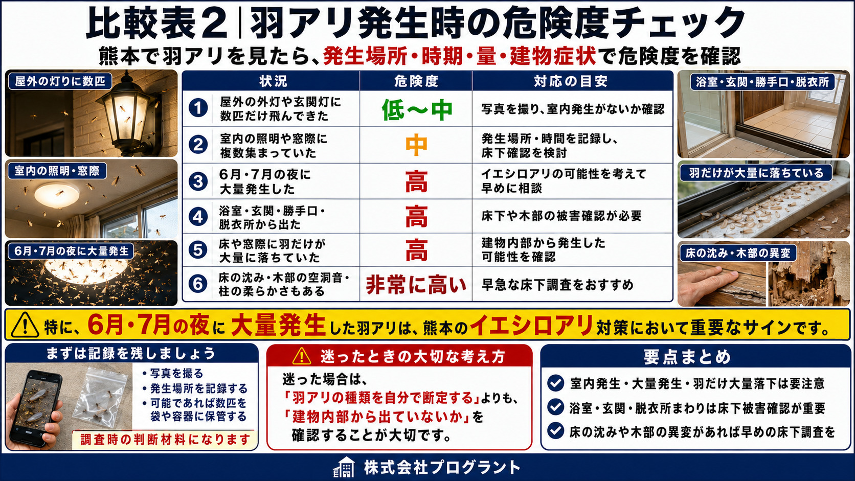 熊本で羽アリを見つけた際の危険度チェックとイエシロアリ被害を疑うべき症状を解説した画像