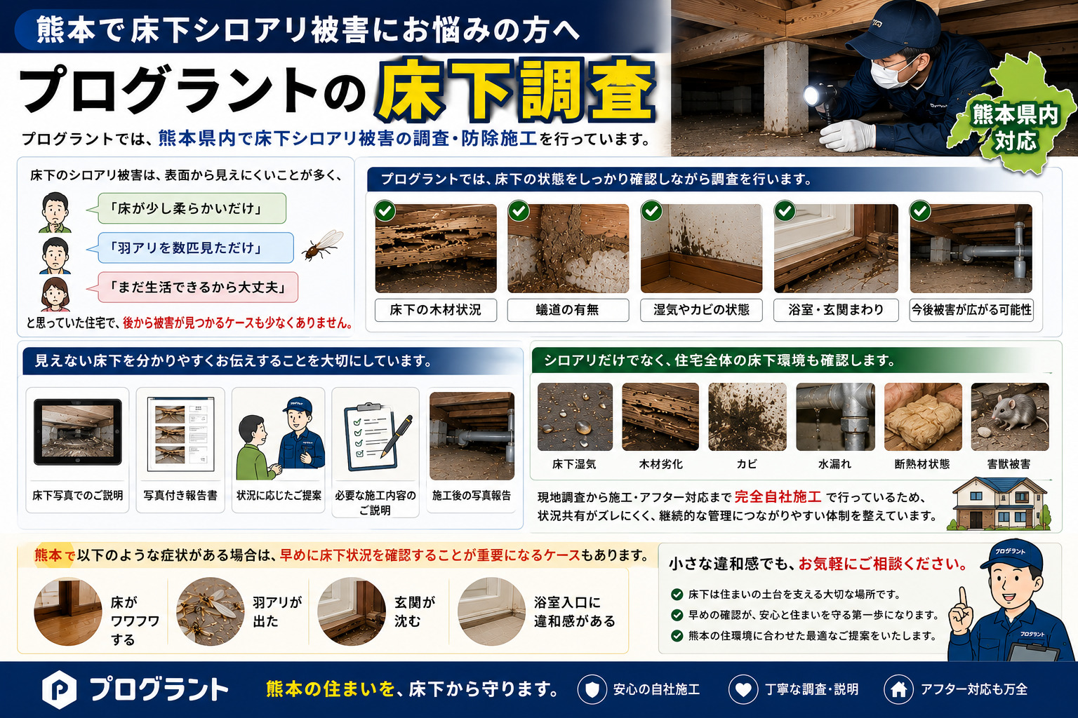 熊本で床下シロアリ被害に悩む方向けに、プログラントの床下調査・防除施工を紹介した16対9インフォグラフィック。床下木材状況・蟻道・湿気やカビ・浴室や玄関まわりの被害確認、写真付き報告書や施工後報告、完全自社施工による床下環境調査の流れを写真付きで分かりやすく説明した画像