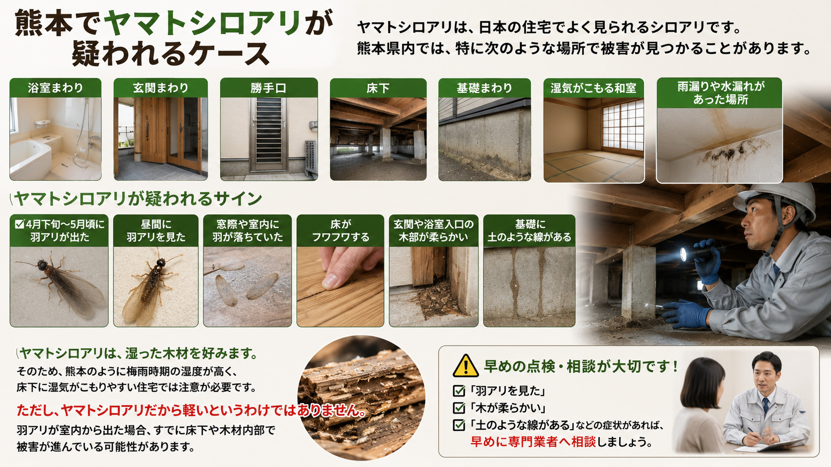 熊本でヤマトシロアリが疑われるケースを解説した16対9の画像。浴室まわり、玄関まわり、勝手口、床下、基礎まわり、湿気がこもる和室、雨漏りや水漏れがあった場所など、ヤマトシロアリ被害が見つかりやすい場所を写真で紹介。4月下旬から5月頃の羽アリ発生、昼間の羽アリ、窓際や室内の落ちた羽、床のフワつき、木部の劣化、基礎の蟻道などのサインを示し、早めの点検と相談の重要性を伝えるシロアリ注意喚起