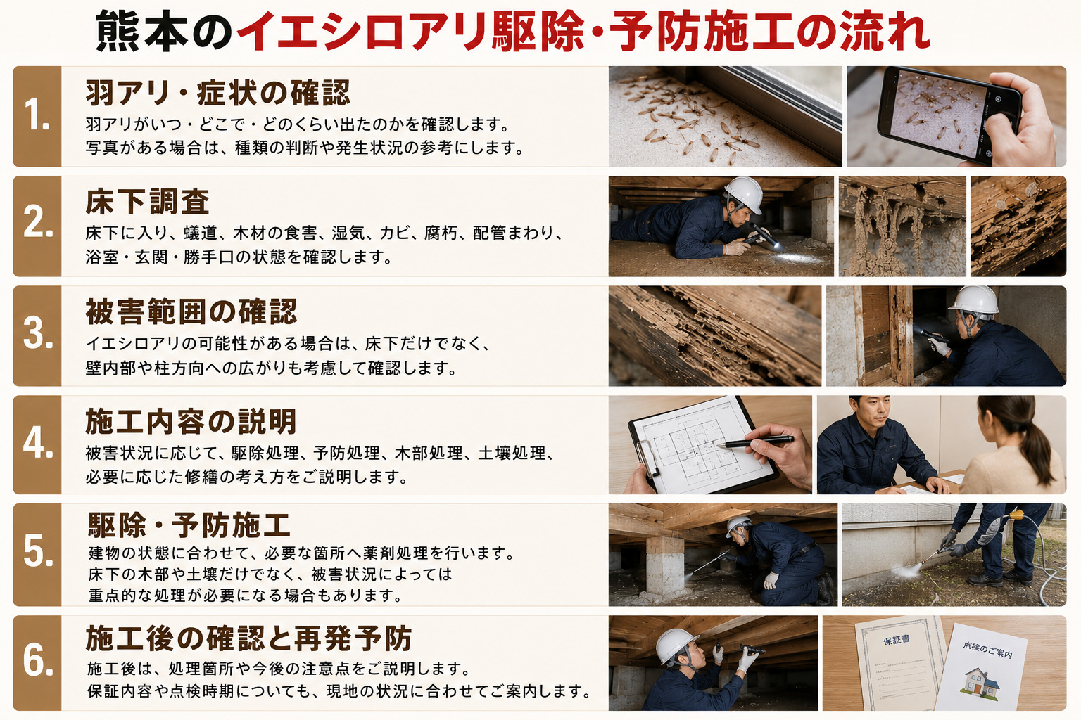 熊本でイエシロアリ駆除と予防施工を行う流れを羽アリ確認から床下調査・被害範囲確認・薬剤処理・再発予防まで解説する内容
