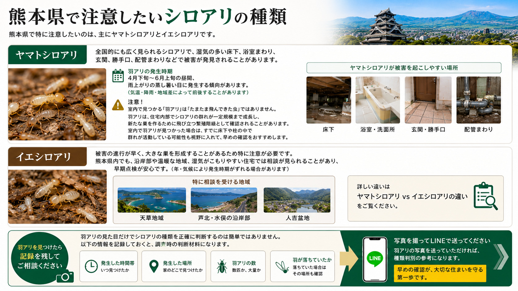熊本県で注意したいシロアリの種類を解説した画像。ヤマトシロアリとイエシロアリの特徴、羽アリの発生時期、床下・浴室・玄関・配管まわりなど被害が出やすい場所、天草・芦北・水俣沿岸部や人吉盆地での注意点、羽アリ発見時に写真や発生場所を記録する重要性を紹介