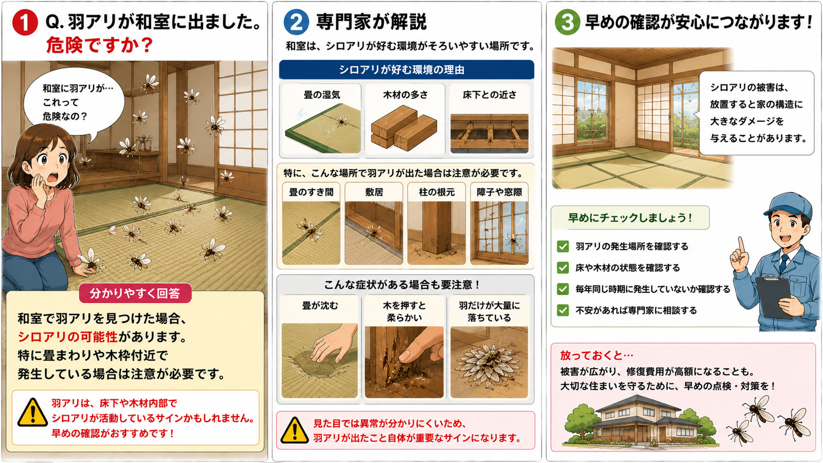 和室に羽アリが出て不安になる女性を描いた16対9の3コマ漫画。畳の湿気・木材の多さ・床下との近さにより、和室がシロアリ被害を受けやすい場所であることを専門家が解説。畳のすき間・敷居・柱の根元・障子や窓際で羽アリが出る場合の注意点や、畳が沈む、木を押すと柔らかい、羽だけが大量に落ちている症状を分かりやすく説明したシロアリ対策インフォグラフィック
