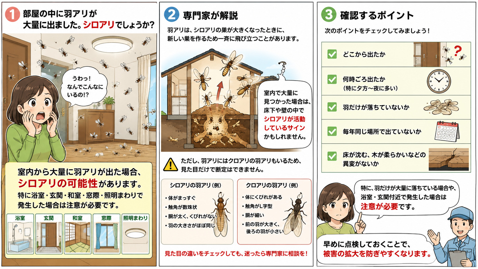 部屋の中に大量発生した羽アリに驚く女性と、シロアリ被害の可能性を解説する3コマ漫画。浴室・玄関・和室・窓際・照明まわりで発生した羽アリや、床下で活動するシロアリのイメージ、クロアリとの違い、羽だけが落ちていないか・発生場所・時間帯・床の異変など確認ポイントを分かりやすく解説