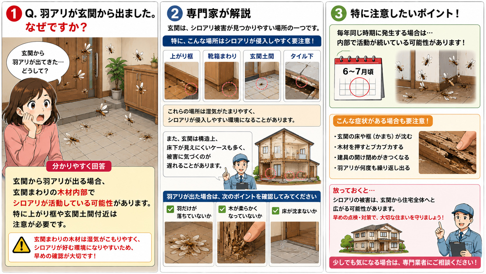 玄関から羽アリが出て不安になる女性を描いた16対9の3コマ漫画。玄関まわりの木材内部でシロアリが活動している可能性や、上がり框・靴箱まわり・玄関土間・タイル下など湿気がたまりやすい場所の注意点を専門家が解説。羽だけが落ちている、木が柔らかい、床や框が沈む、毎年同じ時期に羽アリが出るなどの確認ポイントを分かりやすく説明したシロアリ対策インフォグラフィック"