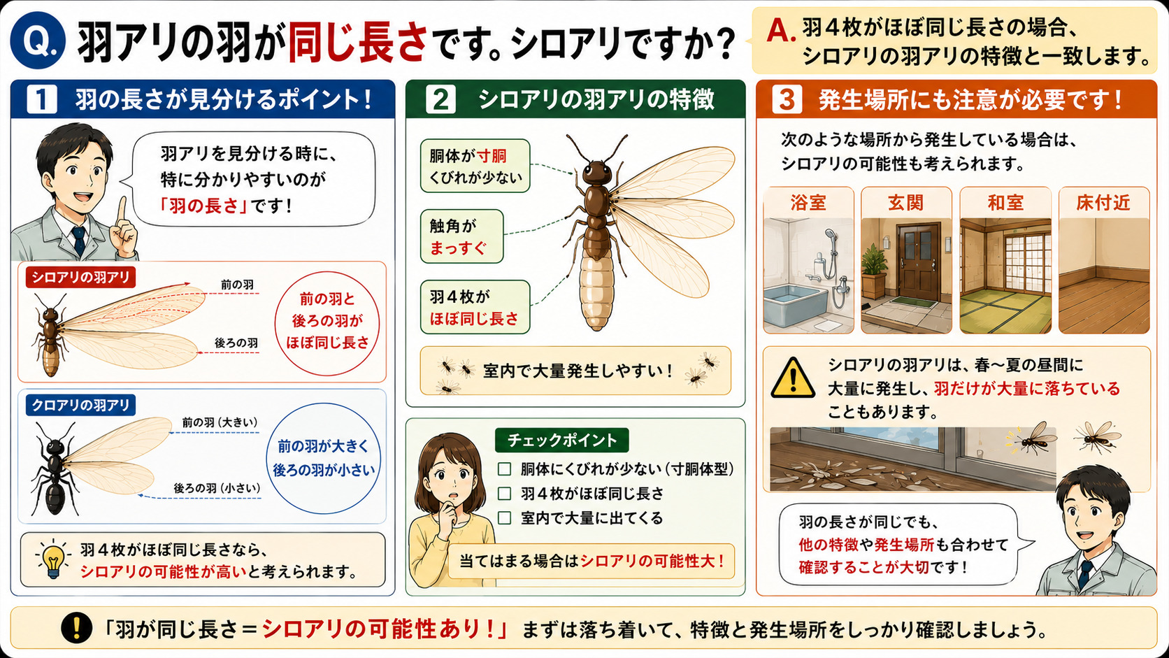 羽アリの羽が同じ長さの場合にシロアリかどうかを解説した16対9の比較インフォグラフィック。シロアリの羽アリは前後4枚の羽がほぼ同じ長さで、胴体が寸胴、くびれが少ない特徴をイラスト付きで説明。クロアリの羽アリは前の羽が大きく後ろの羽が小さい違いを比較表示し、羽の長さによる見分け方を分かりやすく図解。浴室・玄関・和室・床付近などから大量発生する場合はシロアリの可能性があることを紹介し、室内発生時は注意が必要であることを伝える羽アリ判別画像