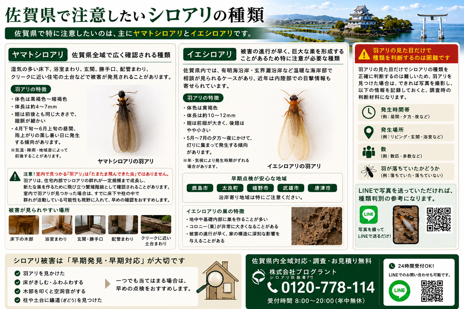 佐賀県で注意したいシロアリの種類を解説した画像。ヤマトシロアリとイエシロアリの羽アリ写真を比較しながら、発生時期・特徴・被害が出やすい場所・有明海沿岸や玄界灘沿岸での注意点を紹介。羽アリ発見時に記録しておきたい情報や、LINEで写真相談できる内容をまとめたシロアリ対策