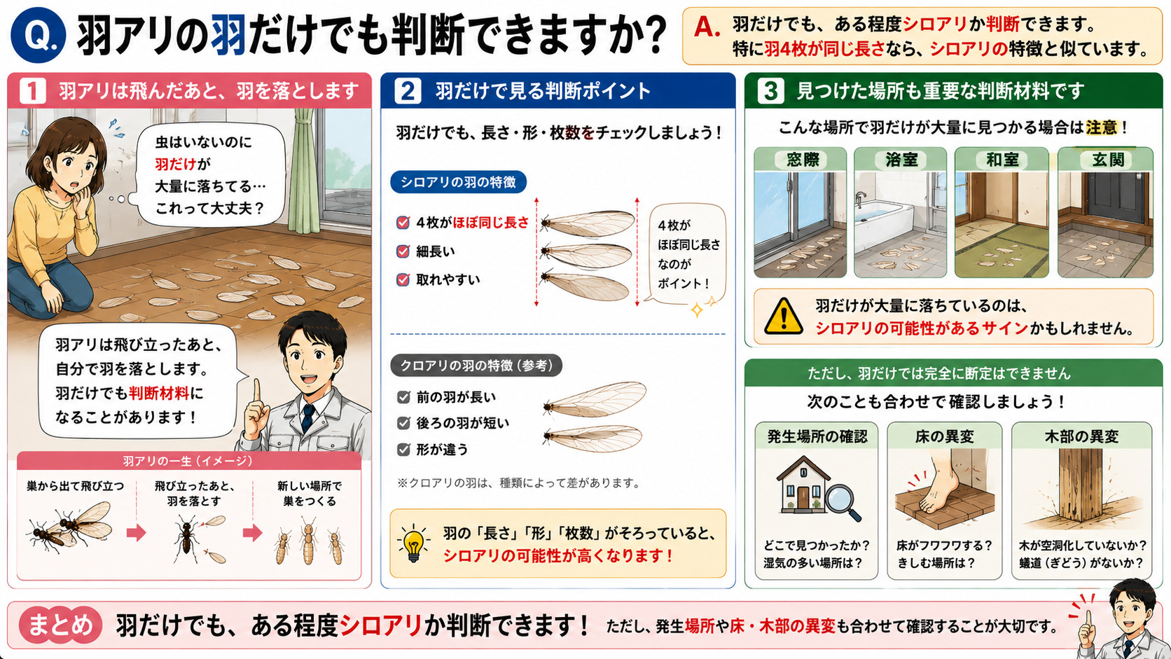 羽アリの羽だけでもシロアリか判断できるのかを分かりやすく解説した16対9の比較インフォグラフィック。床や窓際に大量に落ちた羽を見て不安になる住宅内の様子を描写し、シロアリの羽は4枚ほぼ同じ長さで細長く、取れやすい特徴があることをイラスト付きで紹介。羽の長さ・形・枚数を確認するポイントを図解し、窓際・浴室・和室・玄関など湿気が多い場所で大量に見つかる場合は注意が必要であることを説明。羽だけでは完全に断定できないため、発生場所や床のフワフワ感・木部の異変も合わせて確認する重要性を伝える羽アリ判別解説画像
