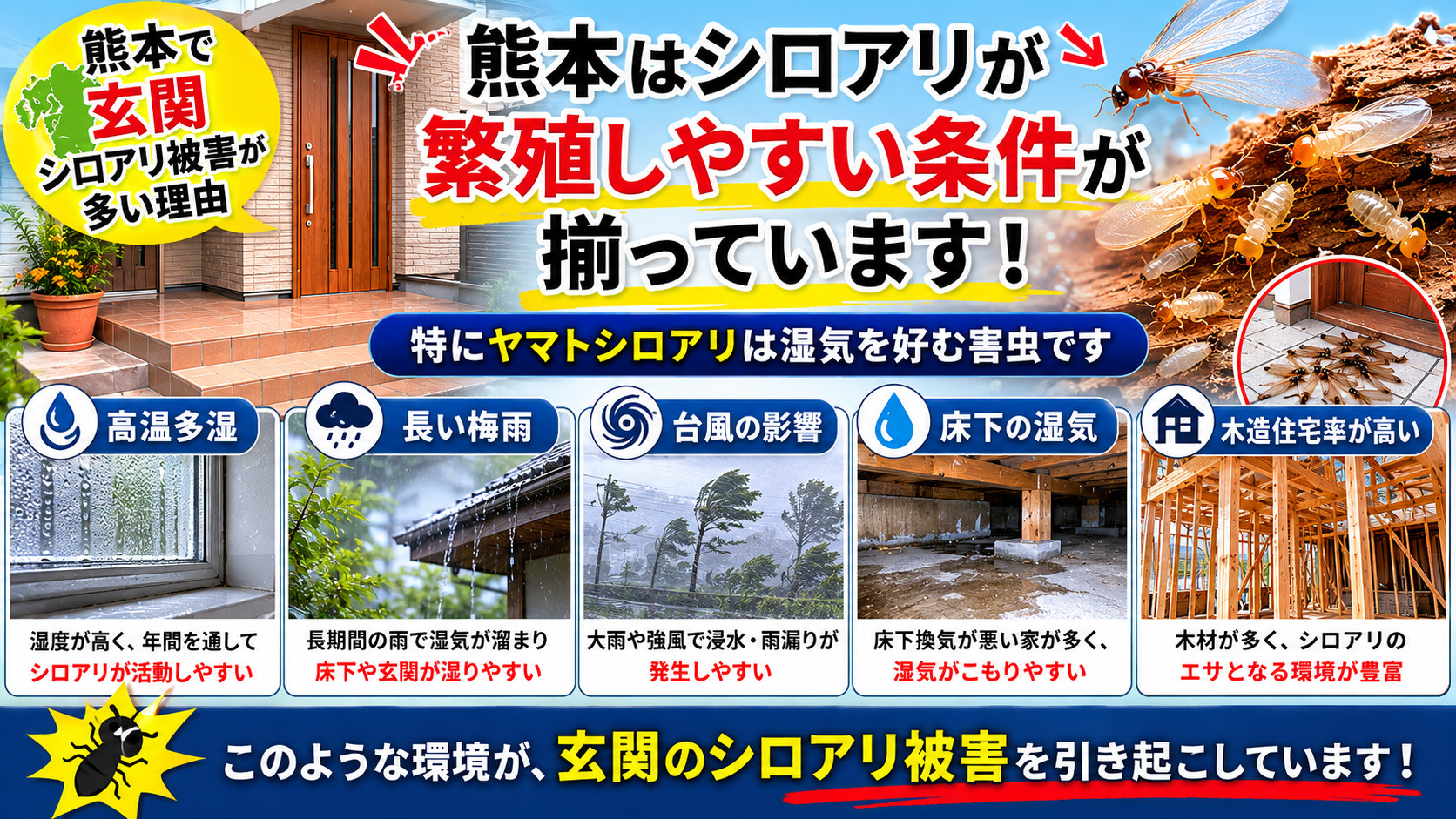 熊本で玄関シロアリ被害が多い理由を解説した16対9のインフォグラフィック画像。高温多湿・長い梅雨・台風・床下湿気・木造住宅率の高さなど、熊本がシロアリ被害が増えやすい環境であることを、雨・床下・木造住宅・羽アリ発生写真付きで分かりやすく紹介。ヤマトシロアリが湿気を好み、玄関や床下で被害が進行しやすい特徴も解説した注意喚起バナー