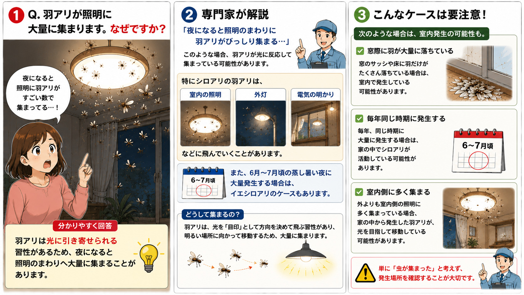 夜の室内照明に大量の羽アリが集まる様子を解説したインフォグラフィック。羽アリは光に引き寄せられる習性があり、室内照明・外灯・電気の明かりに集まりやすいこと、窓際に羽が大量に落ちている・毎年同じ時期に発生する・室内側に多く集まる場合はシロアリ発生の可能性があることを専門家が解説している。