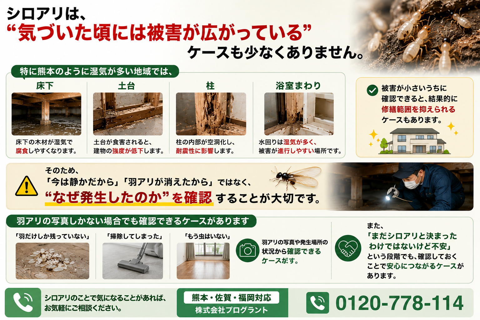 羽アリが消えてもシロアリ被害が床下や土台、柱、浴室まわりで静かに進行する危険性を解説した16対9インフォグラフィック。羽アリの写真だけでも確認相談できることや、熊本の湿気が多い住宅環境で被害が広がるケースを分かりやすく紹介したシロアリ注意喚起