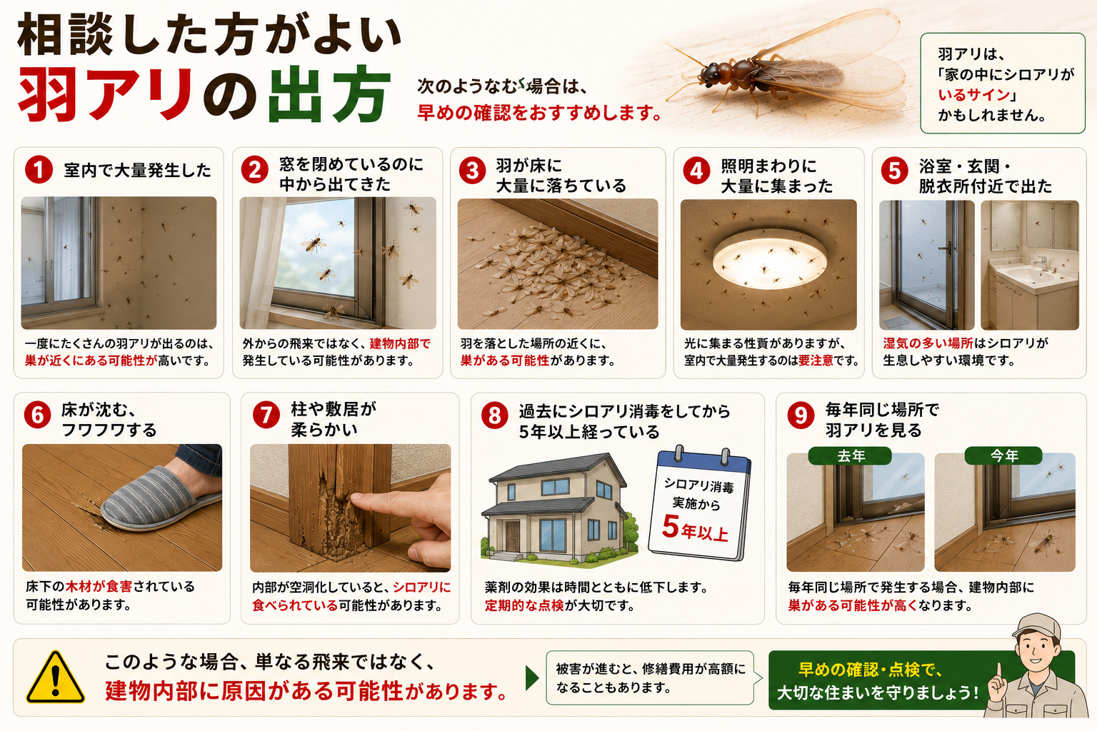 室内で羽アリが大量発生した場合や、床に羽が落ちている、照明まわりに集まる、浴室・玄関付近で出るなど、早めに相談した方がよい羽アリの出方を解説した画像