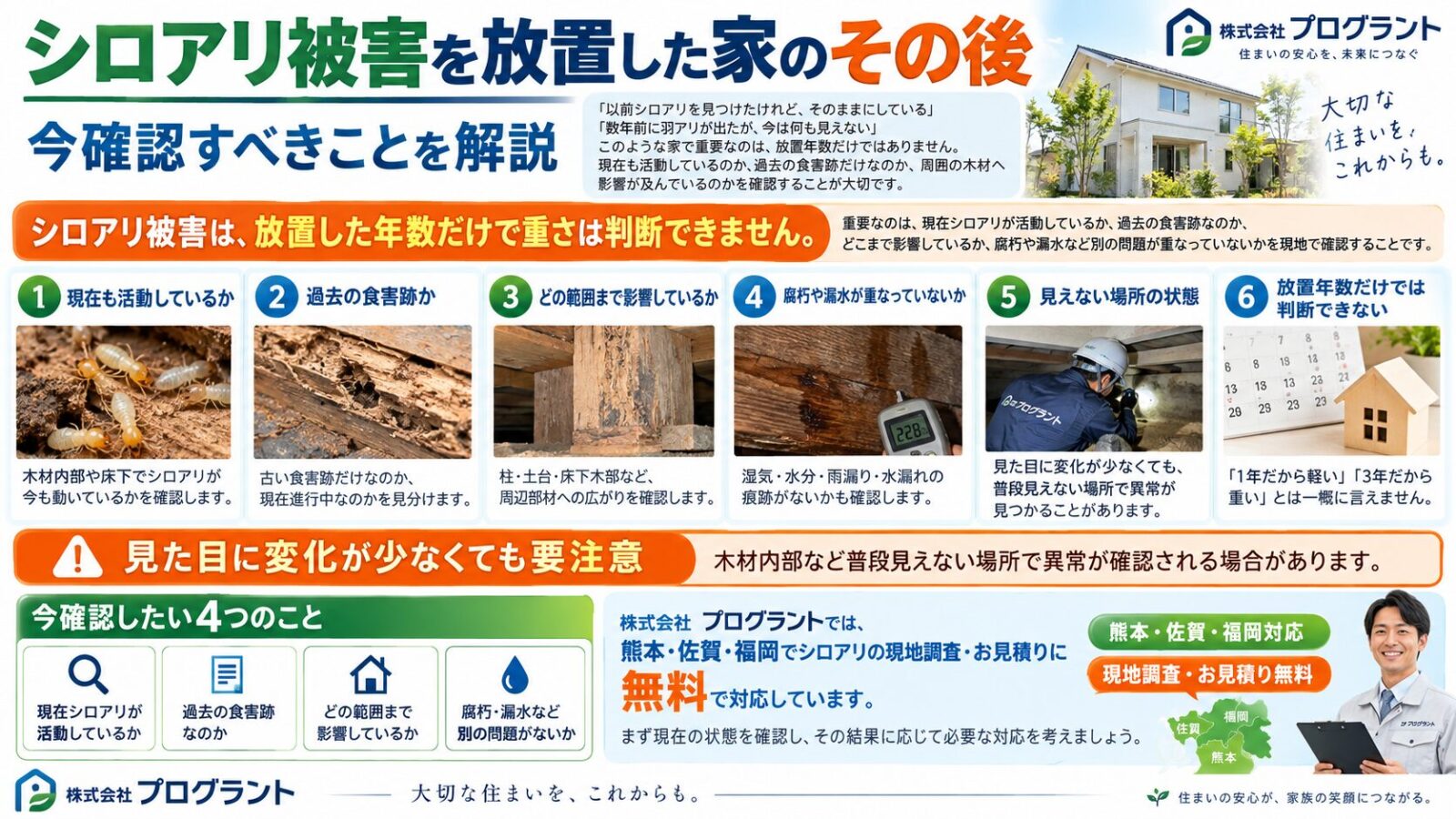 シロアリ被害を放置した家で今確認すべきポイントを解説するインフォグラフィック|現在の活動状況・過去の食害跡・影響範囲・腐朽や漏水の有無・見えない場所の状態を写真付きで紹介