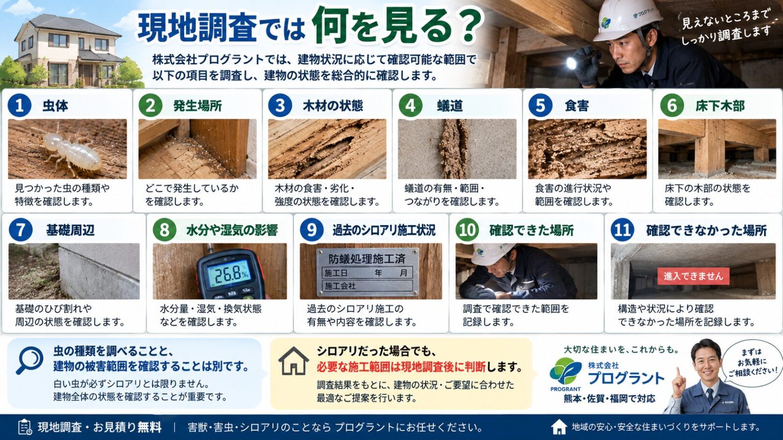 シロアリの現地調査で確認する11項目を解説するインフォグラフィック|虫体・発生場所・木材の状態・蟻道・食害・床下木部・基礎周辺・湿気・過去の施工状況・確認できた場所と未確認箇所を写真付きで紹介
