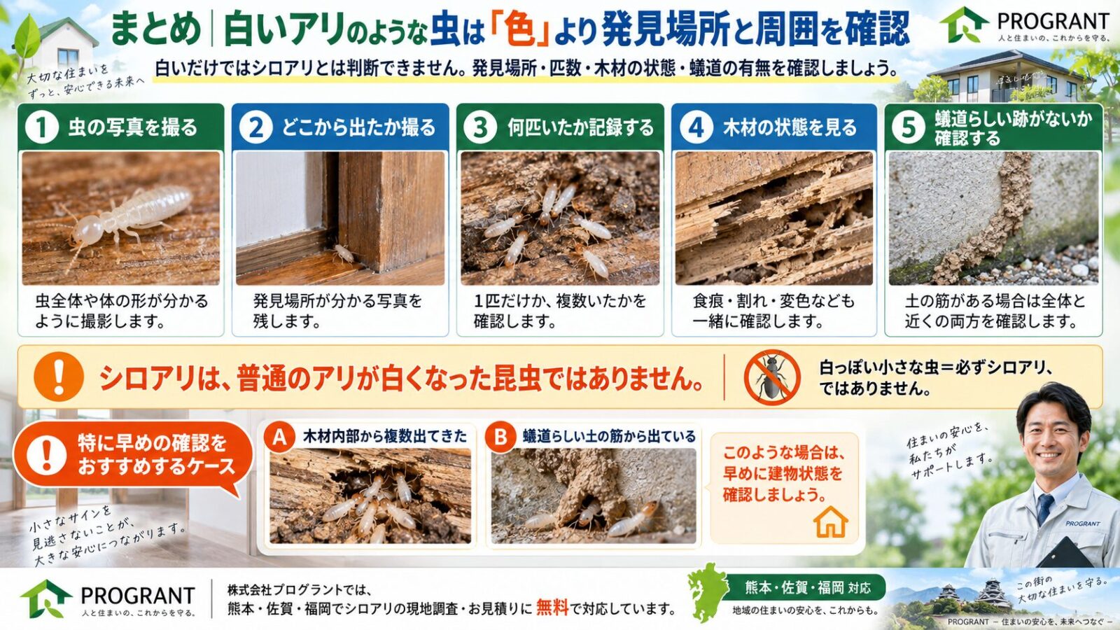 白いアリのような虫を見つけたときの確認ポイントをまとめたインフォグラフィック|虫の写真・発見場所・匹数・木材の状態・蟻道の有無を確認し、木材内部や土の筋から複数出ている場合は早めの確認を促す内容
