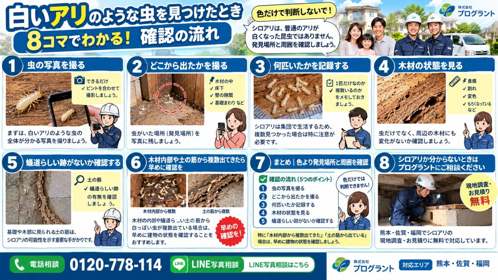 白いアリのような虫を見つけたときの確認手順を8コマで解説する漫画インフォグラフィック|虫の写真・発見場所・匹数・木材の状態・蟻道の有無を確認し、シロアリか分からない場合の相談方法を紹介