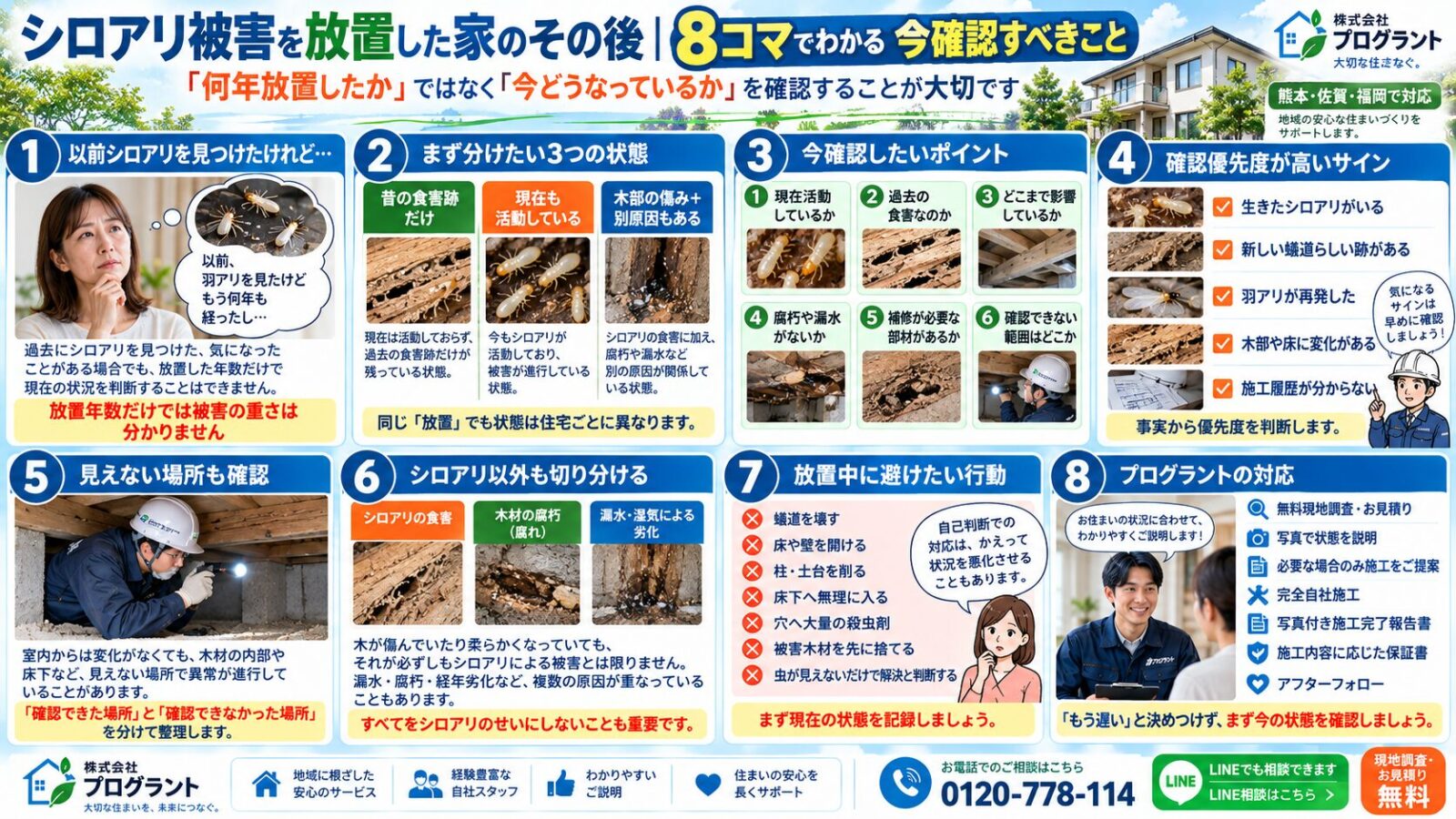 シロアリ被害を放置した家で今確認すべきことを8コマで解説する漫画インフォグラフィック|現在の活動状況・過去の食害・影響範囲・腐朽や漏水・未確認箇所・避けたい行動・現地調査の流れを紹介