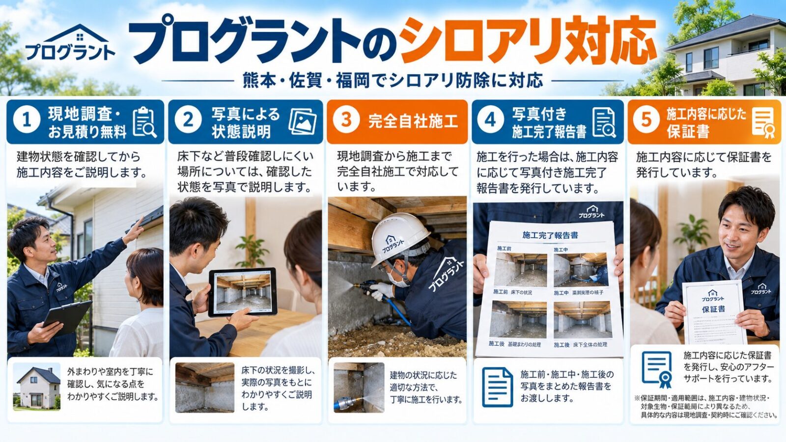 プログラントのシロアリ対応を解説するインフォグラフィック|熊本・佐賀・福岡南部での無料現地調査・見積り、写真による状態説明、完全自社施工、写真付き施工完了報告書、施工内容に応じた保証書を紹介